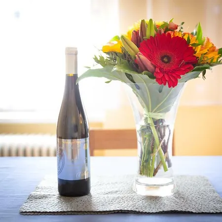 Penzion Rodinny Becov 3*